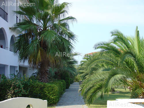 Aristoteles Beach Hotel 13